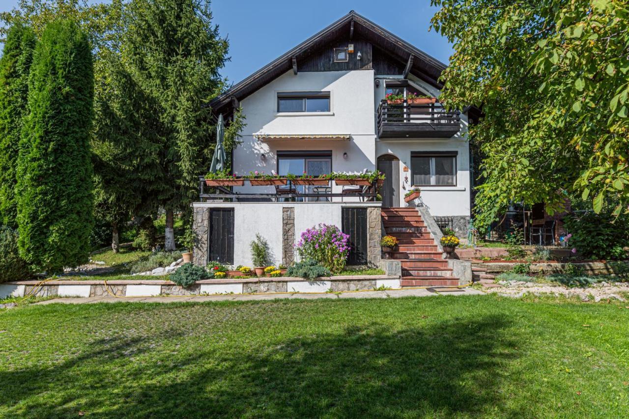 Home Alone Braszów Zewnętrze zdjęcie